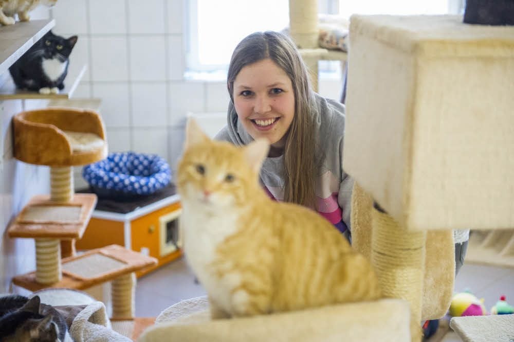 Vanessa Homann fühlt sich in der Gegenwart von Tieren pudelwohl. Sie leitet das Tierheim vom Verein Tierschutz Halle am Birkhahnweg in Halles Osten.
