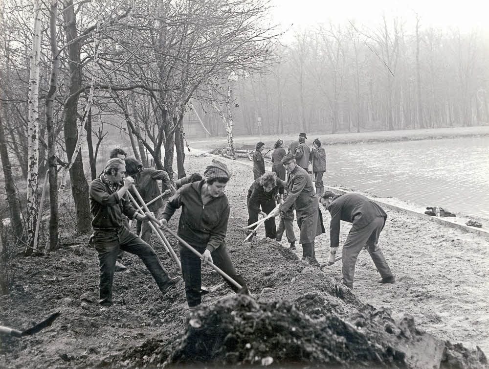 Thea Hauschild (Bildmitte), damals Dessaus Oberbürgermeisterin, beim Arbeitseinsatz.