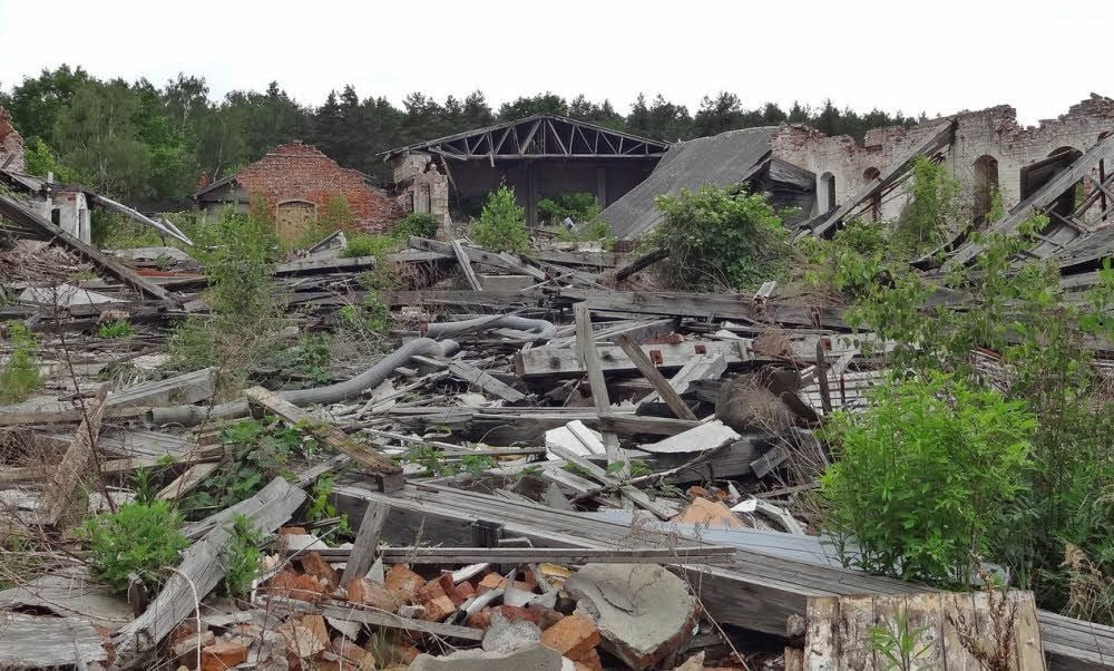 Vieles auf dem Areal des ehemaligen Holzwerks in Oranienbaum ist schon eingestürzt. Auch die anderen Gebäude seien völlig marode, erklärt Karl-Wilhelm Geissel, dessen Unternehmen das Gelände entwickeln will.