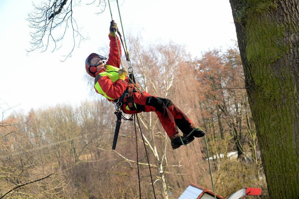 Abwärts: nach getaner Arbeit seilt sich Andrea Weinl aus luftiger Höhe ab.