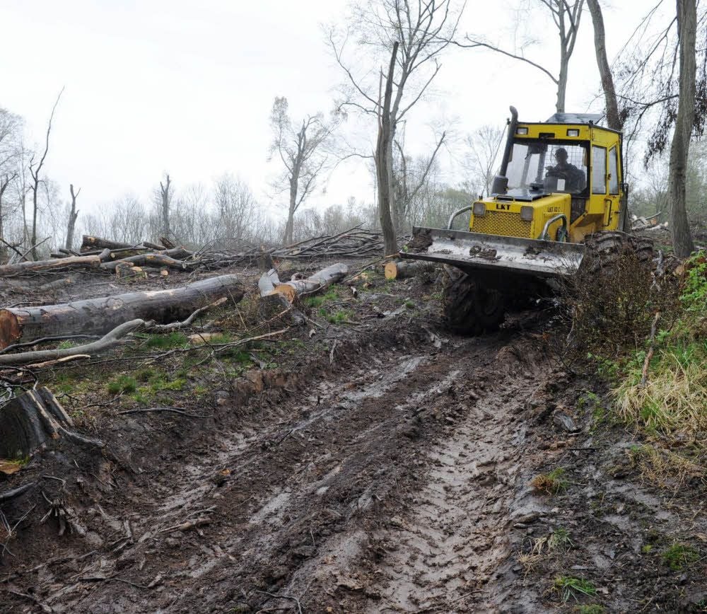 Die vielen kreuz und quer liegenden Holzstämme sind nur mit schwerer Technik auseinanderzuzerren.