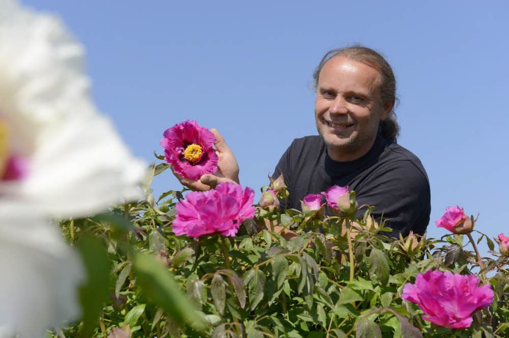 Mit der Pfingstrosengärtnerei hat sich Steffen Schulze einen Traum erfüllt. Er züchtet auch neue Sorten.