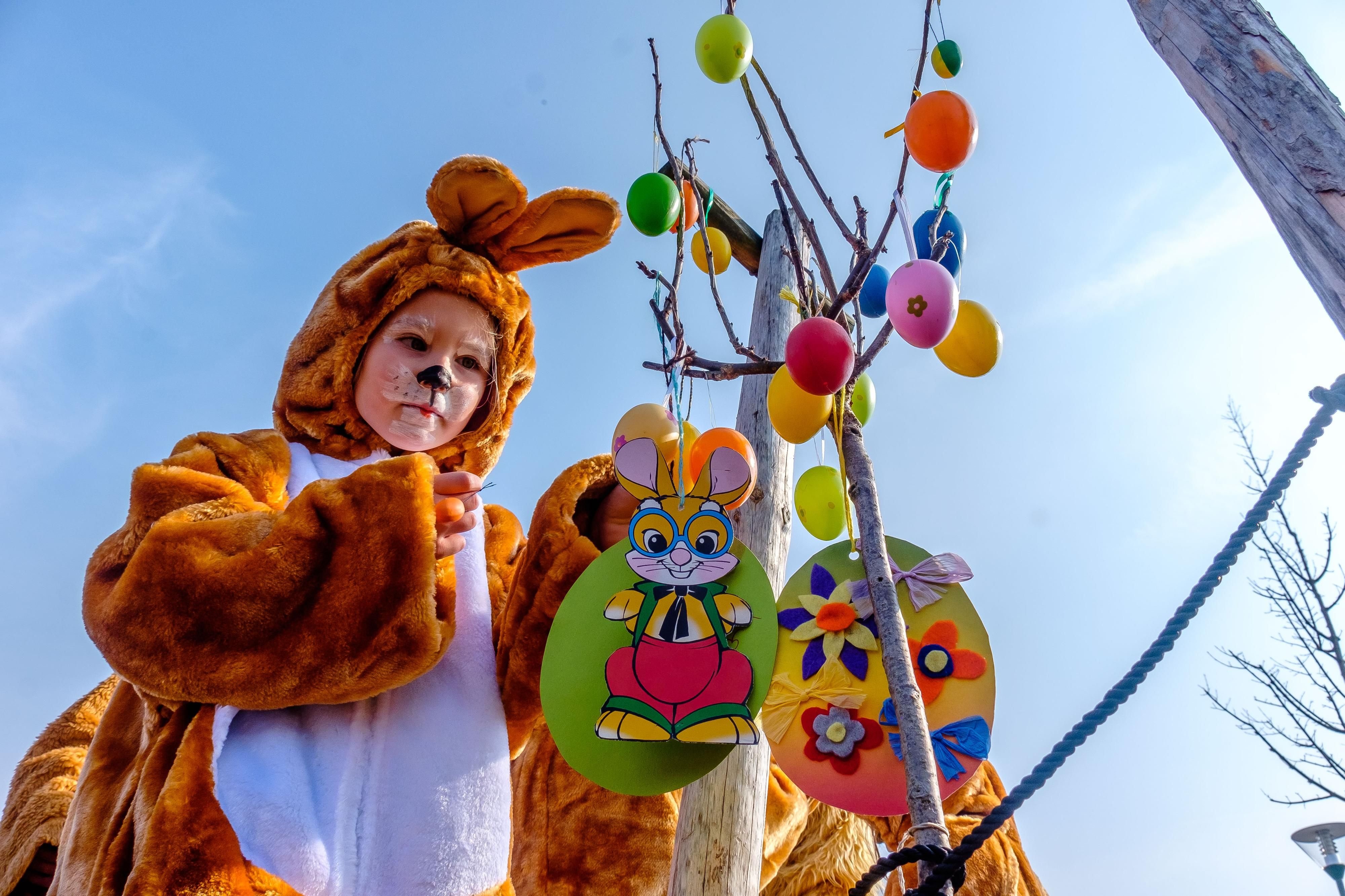 Frühlingserwachen in Wörlitz