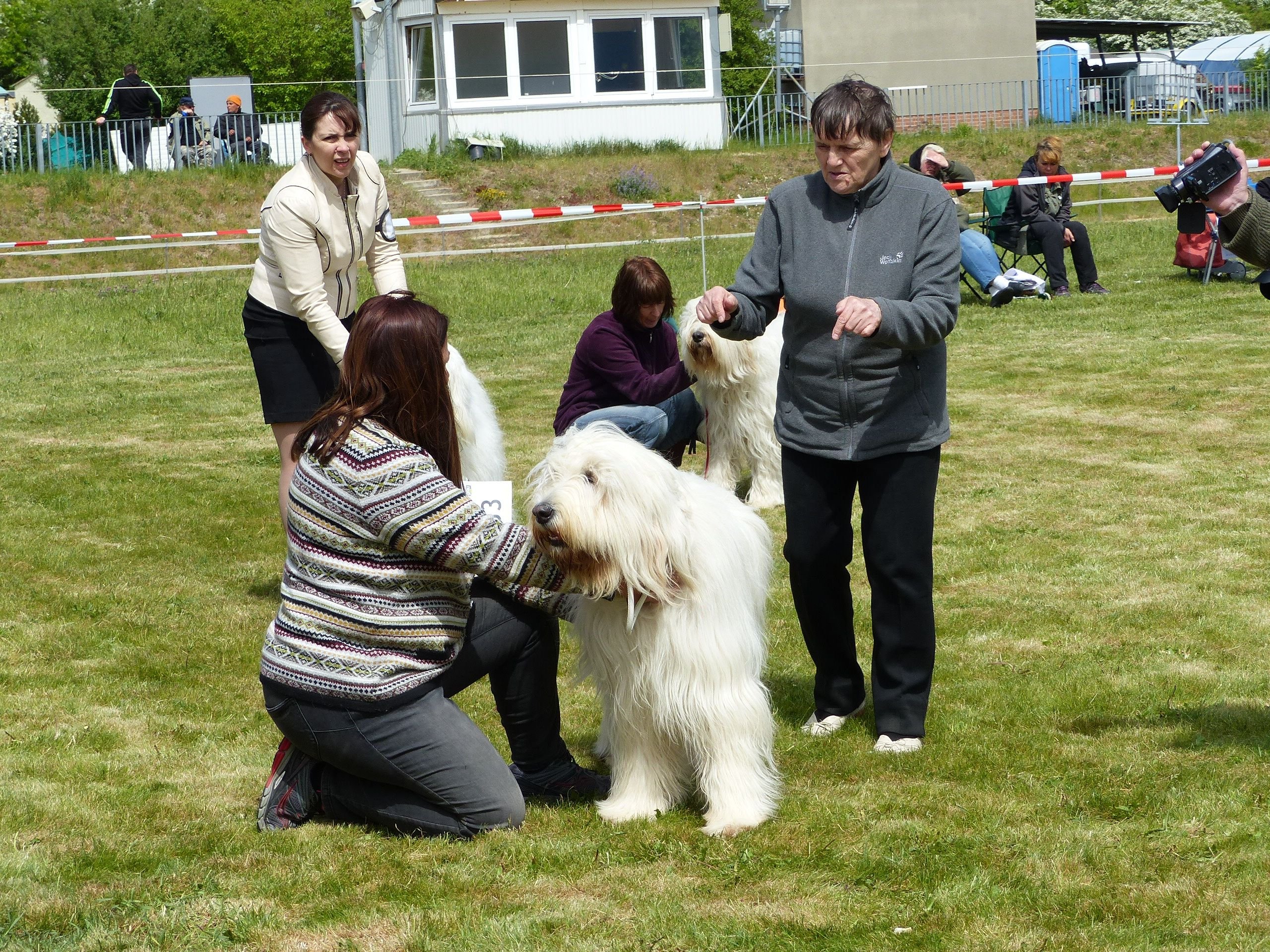 Wertungsrichterin Tatyana Ivanova aus St. Petersburg (rechts) begutachtet den Hund von Senia Williams aus Bayern.