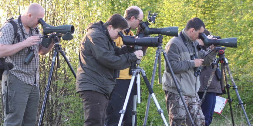 Axel Schonert, Claudia Künne, Friedrich Ruthenberg und Martin Jordan (v. l. n. r.) beim beobachten der Vogelwelt am Gremminer See.