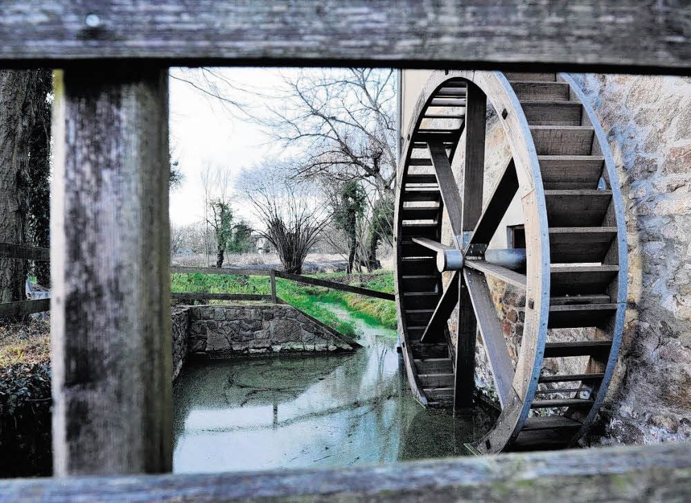 Mühlrad an der alten Zörbiger Mühle