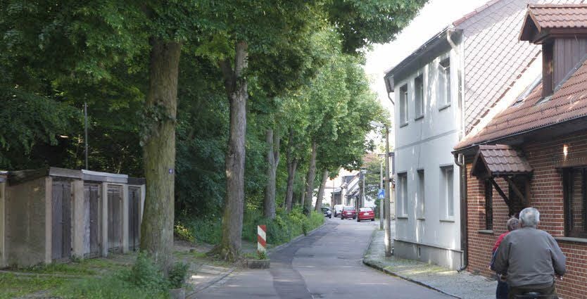 Die Bäume an der Promenade in Hettstedt bereiten Sorgen.
