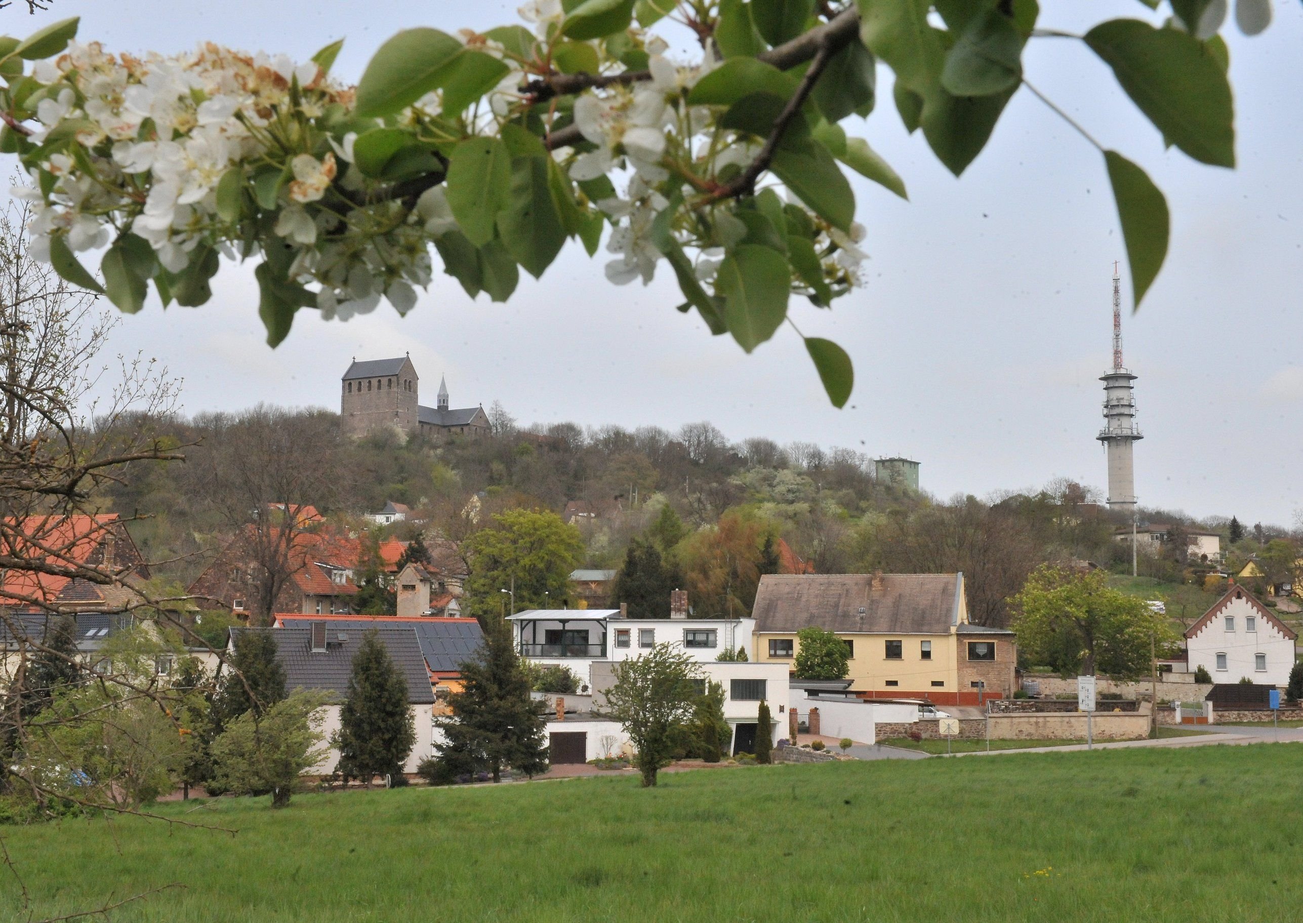 Blick auf den Petersberg
