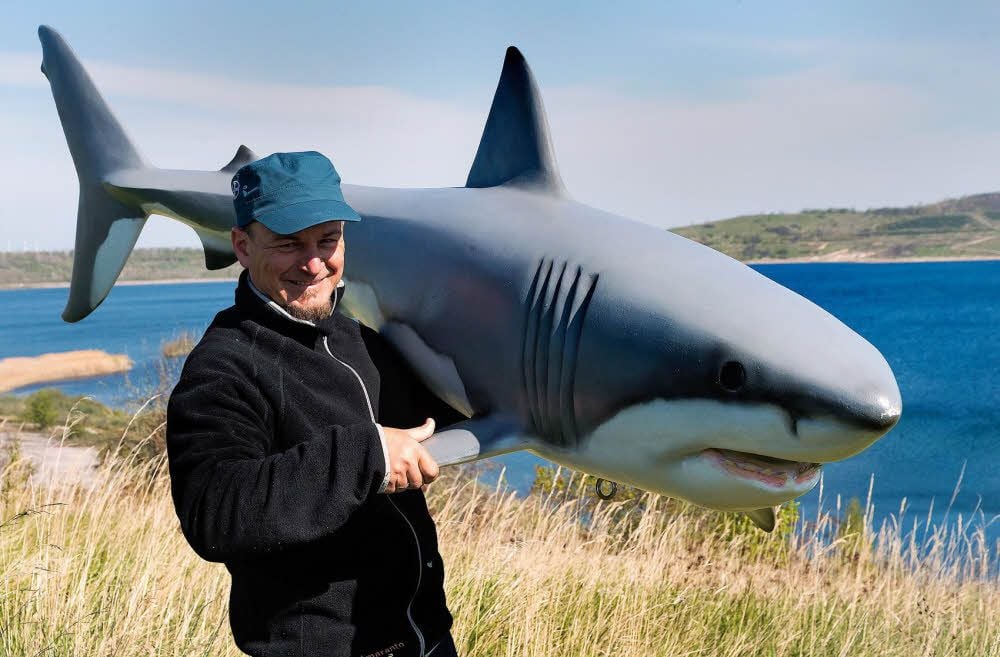 Heiko Günzel vom Tauchzentrum Geiseltal zeigt Hai Bruce schon mal das Gewässer, in dem die Kunststoff-Attrappe Sonnabend versenkt wird.