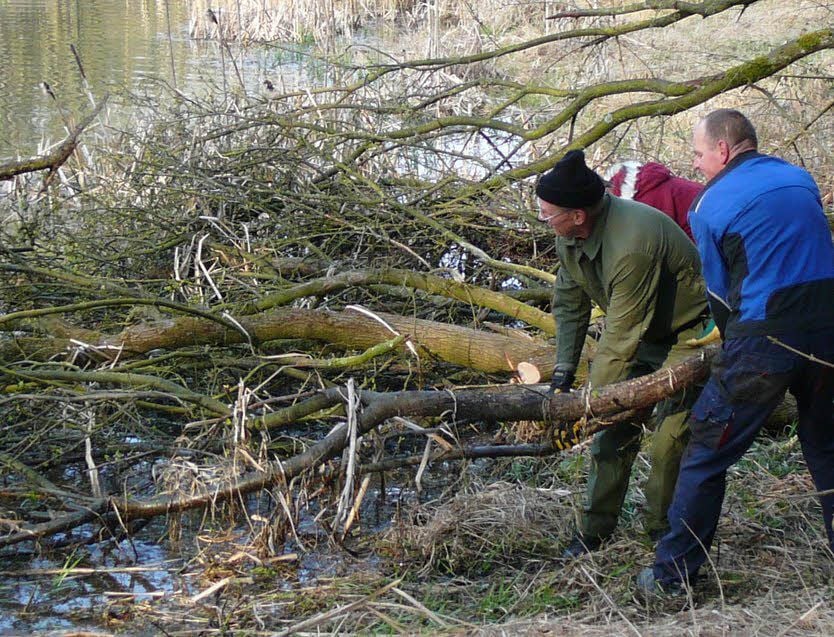 Der Sturm vom Vorjahr hat den Anglern zusätzliche Arbeit beschert.