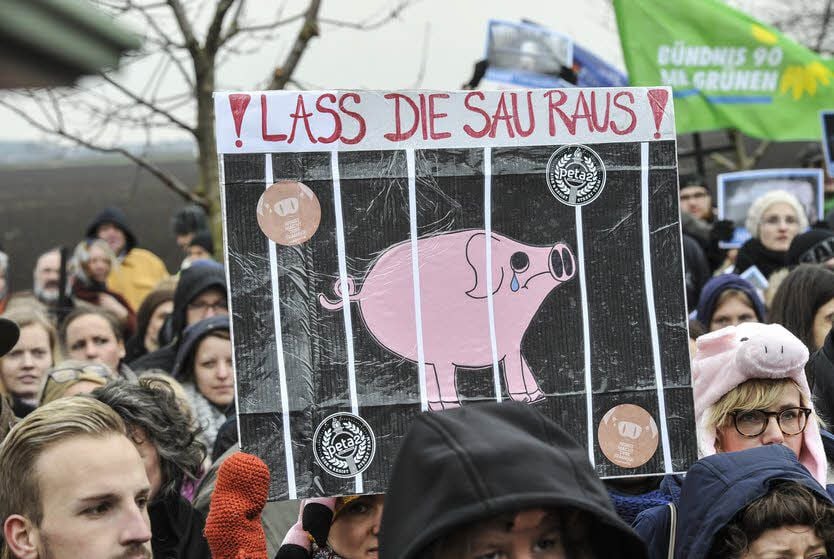 Im März vergangenen Jahres wurde vor dem Schweinehochhaus Maasdorf gegen Massentierhaltung demonstriert.