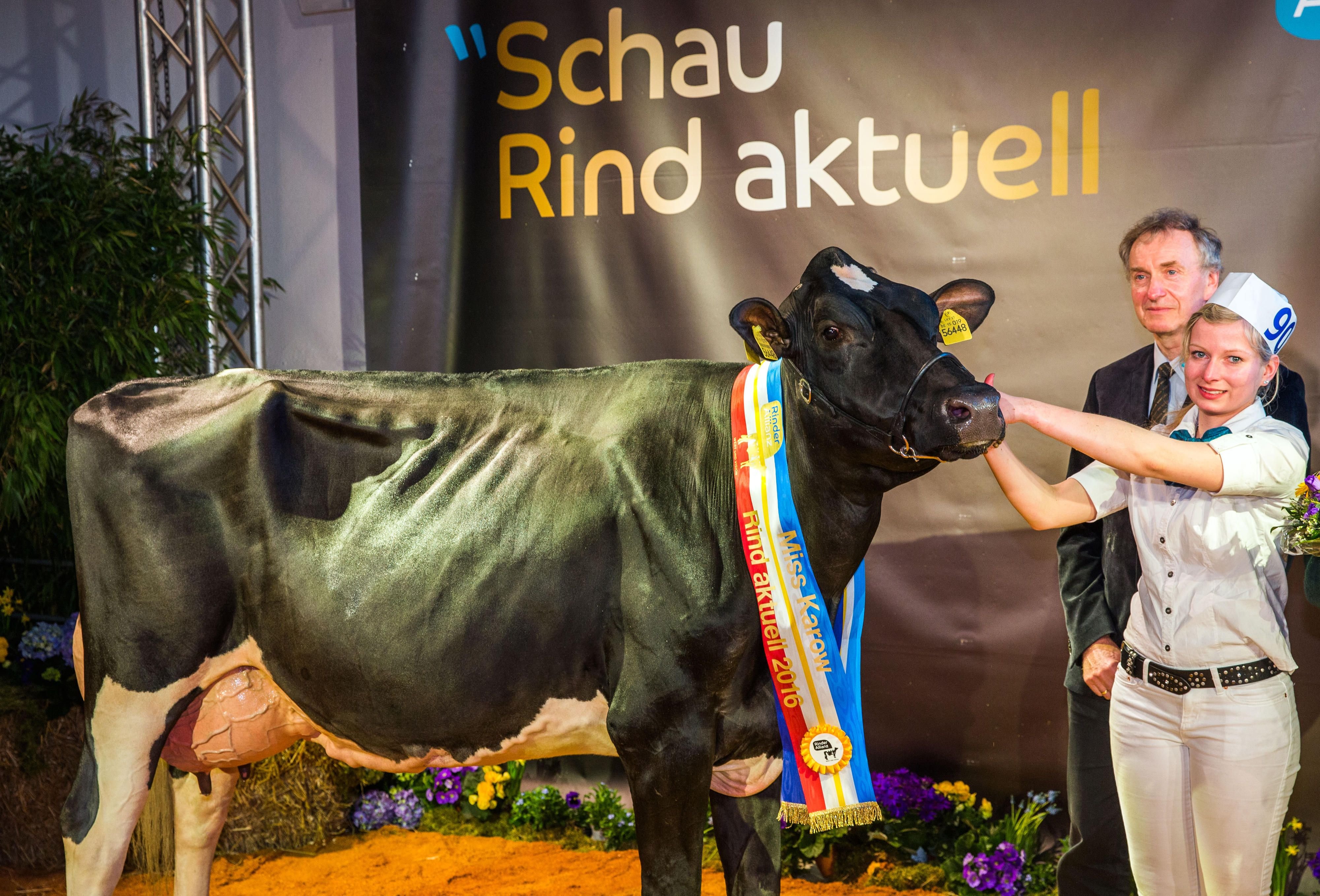 Die Siegerkuh "Betty" aus der Altmark