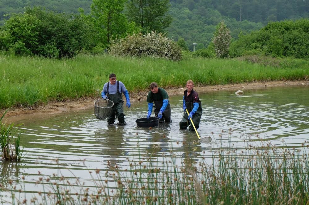 Seekurpark Seekurpark Von Amts wegen abgefischt