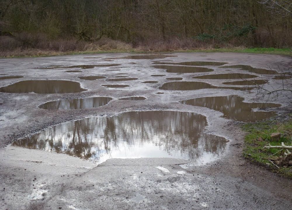 Seenlandschaft statt Parkplatz vor dem Park in Großkühnau.