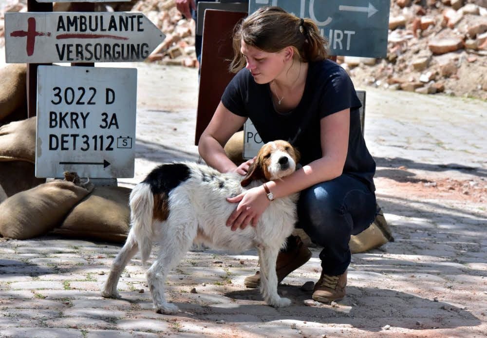 Tiertrainerin Marion Lutan kümmert sich um Fleeper.