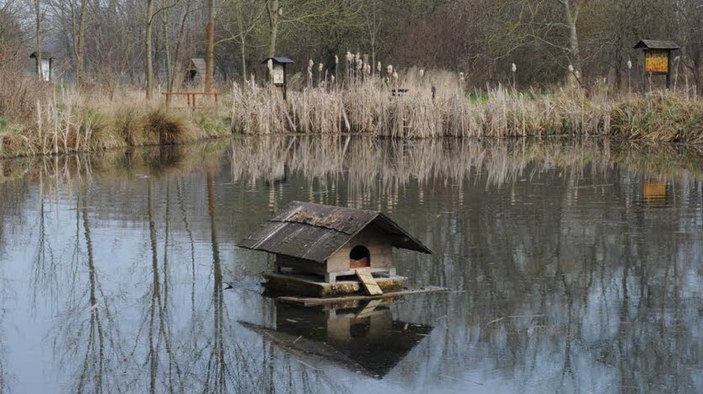 Biotop in Reidewitz Biotop in Reidewitz Kippt der Teich um?
