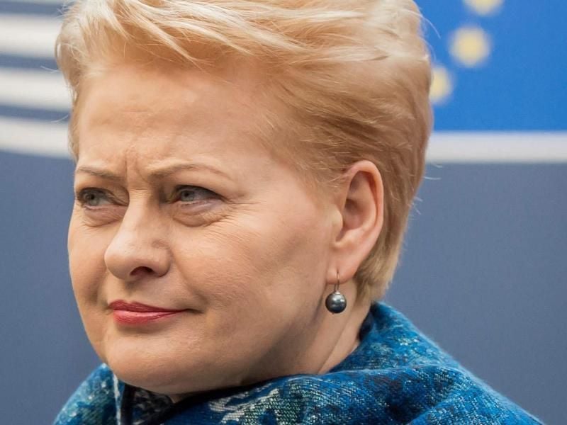 Die litauische Präsidentin Dalia Grybauskaite wertet das Nein der Niederländer als Zeichen der Unzufriedenheit mit der EU. Foto: Stephanie Lecocq