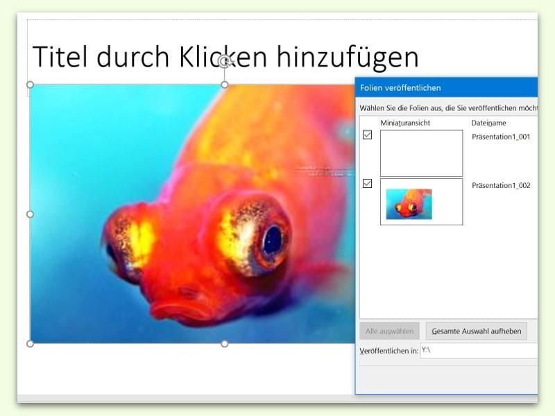 Besonders große PowerPoint-Folien sollte man schrumpfen, wenn sie aufgrund der Datenmenge für Probleme sorgen. Foto: dpa-infocom