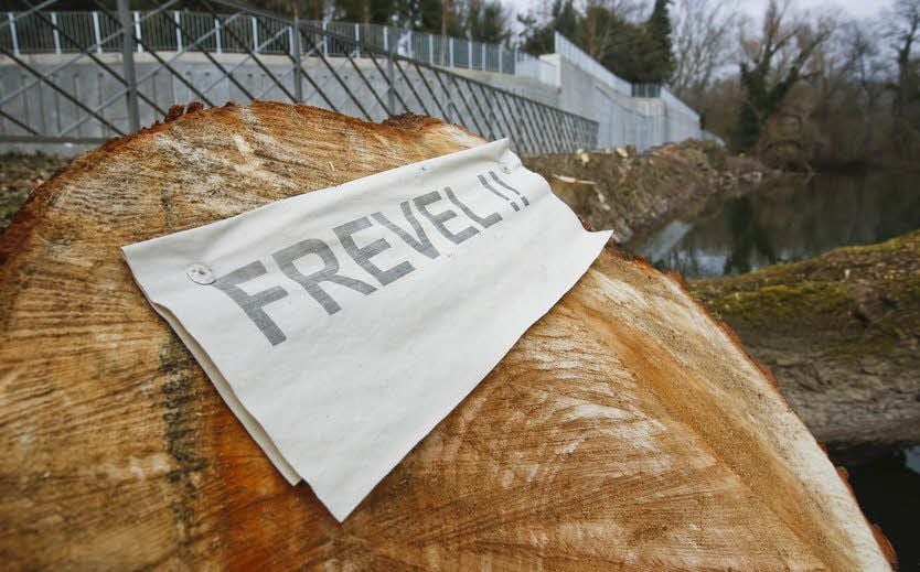 Die Baumfällung ist auch auf Verärgerung gestoßen.