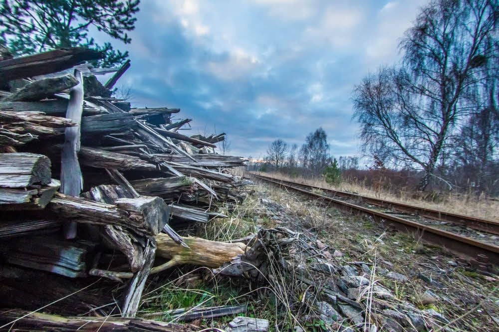 Entlang der Grubenbahn - wie hier kurz vor Zschornewitz - werden Holzschwellen einfach entsorgt.