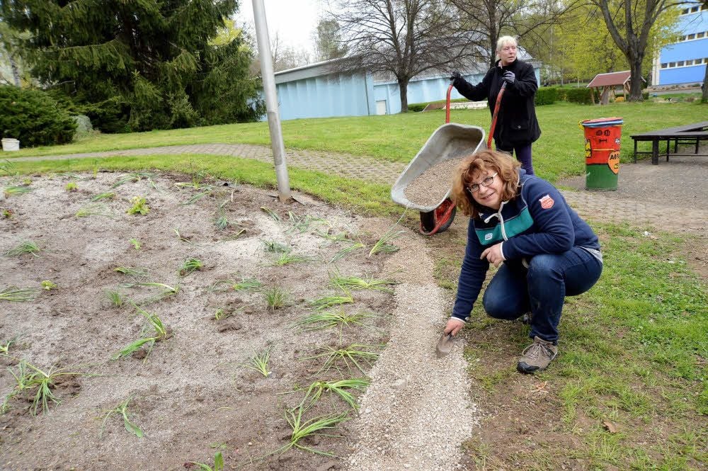 Kathleen Dreyer (hinten) und Simone Zilm legen letzte Hand an der Lehrpfadstation Wiese an.