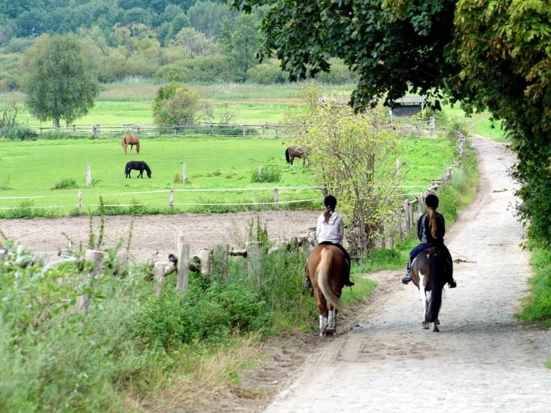 Zwei junge Frauen reiten an Weiden vorbei. Foto: Maurizio Gambarini/Archiv