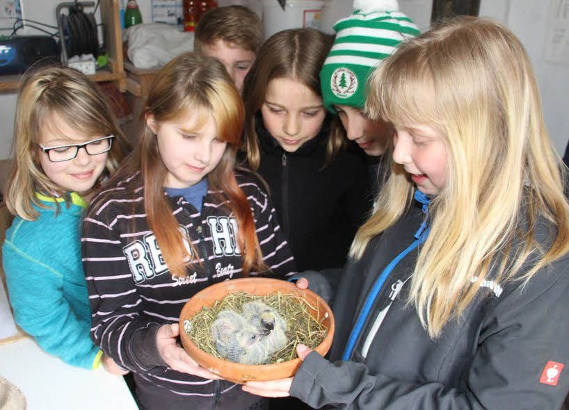 Kinder bekommen auf dem Schulbauernhof Othal einen Einblick in das Hobby Brieftaubenzüchter.