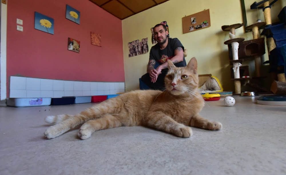 Jens Otto mit Kater Charly. Der drei Jahre alte Rot-Tiger ist putzmunter und sucht dringend Familienanschluss mit Freigang.