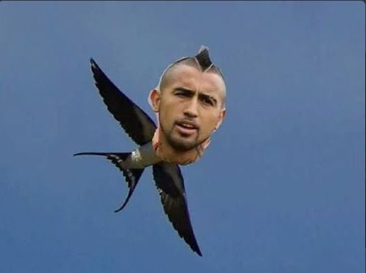 Arturo Vidal wurde im Netz für seine Schwalbe kritisiert.