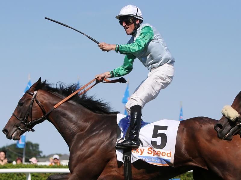 Jockey Andrasch Starke hat sich das Schlüsselbein gebrochen. Foto: Malte Christians