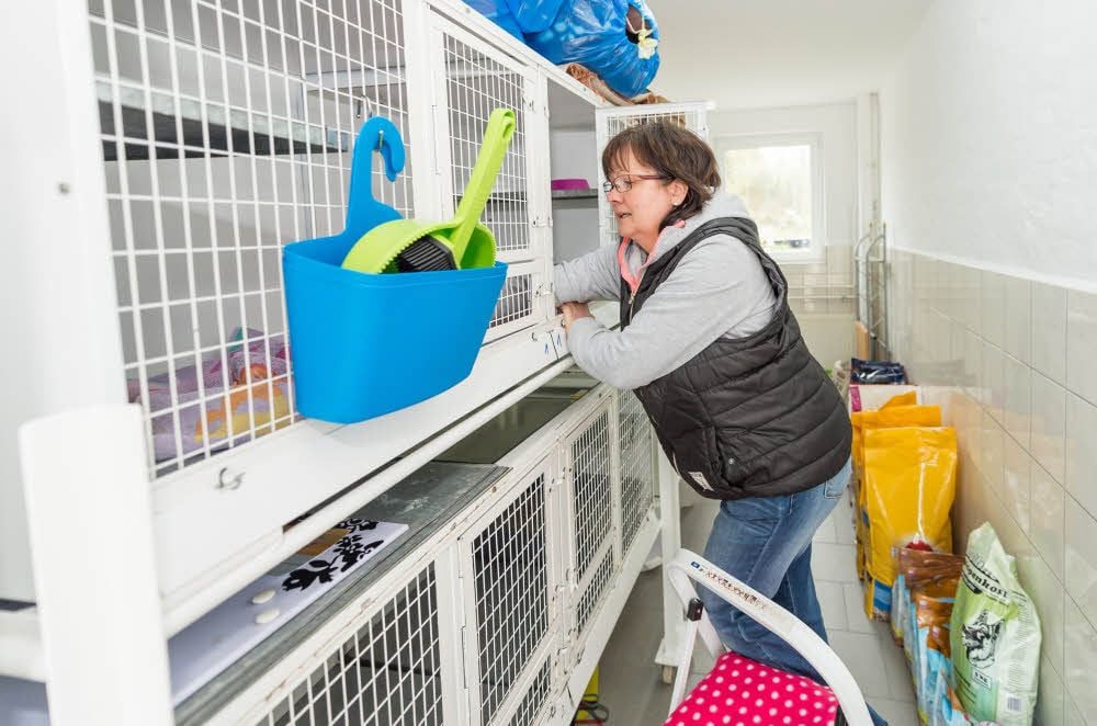 Tierheimleiterin Claudia Müller bereitet die Käfige in der neuen Katzenkrankenstation vor.