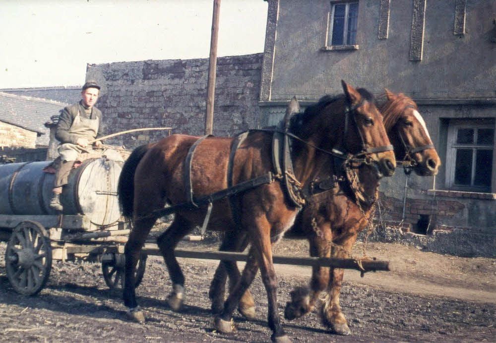 Historischen Fotos erinnern an das Dörfchen Döbern. Zu dem gehörte die Landwirtschaft. Der Dorfteich und die Kirche bildeten den Mittelpunkt des Ortes. Die Kirchenglocken verstummten 1982 für immer.