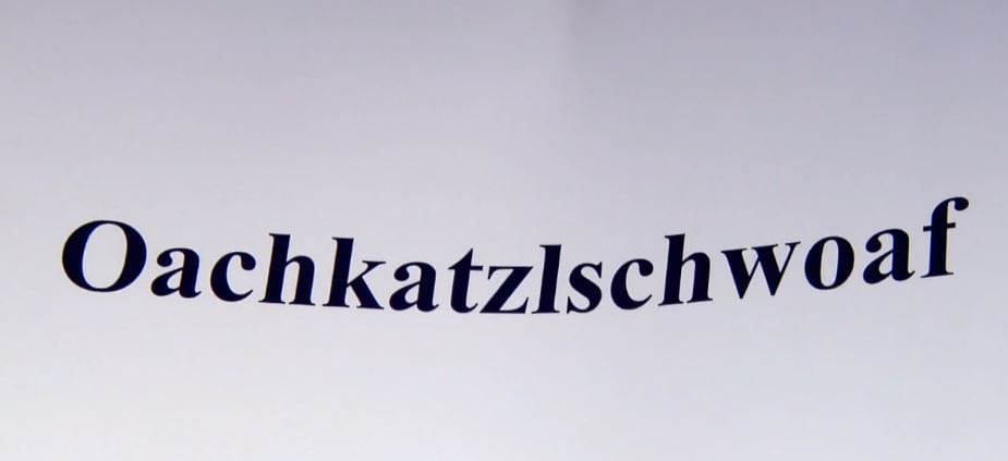 Dialekte verstehen ist für viele Deutsche richtig schwer.