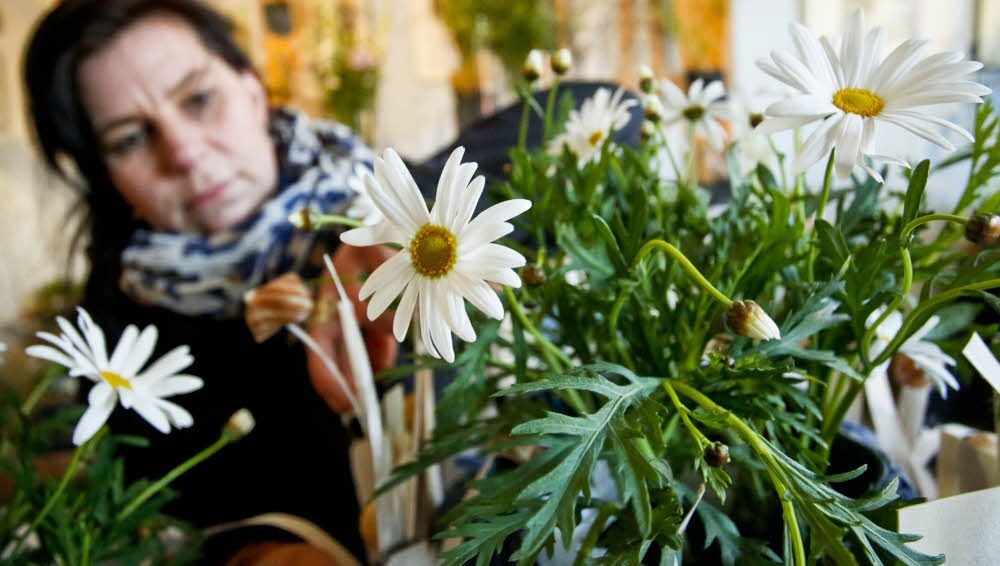 Blumenschmuck im Frühling steht im Mittelpunkt der Ausstellung.