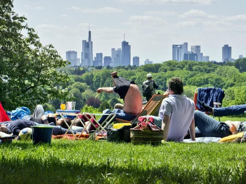 Grüngürtel Frankfurt. Foto: Frank Rumpenhorst