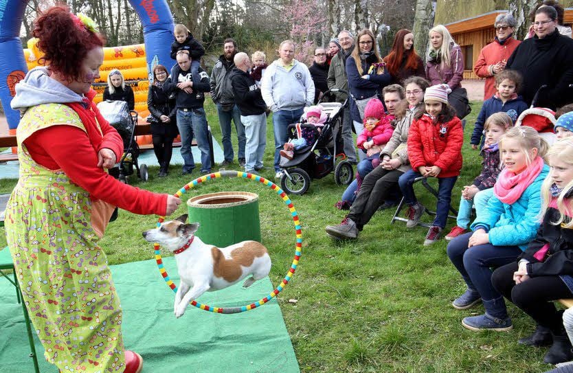 Katharina Oppermann präsentierte zweimal am Sonntag ihre Kleintiershow und ließ auch Hündin Lilly durch den Reifen springen.