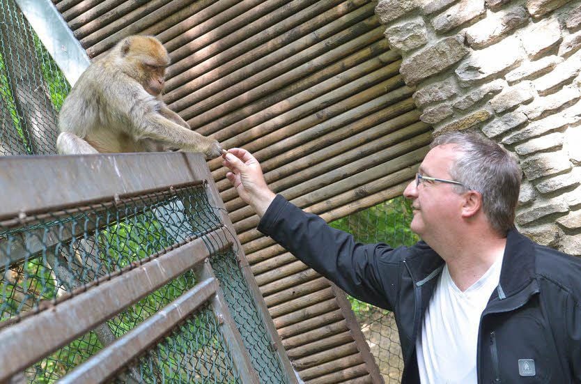 Oliver Reinke hat über Affe Oli die Patenschaft übernommen.