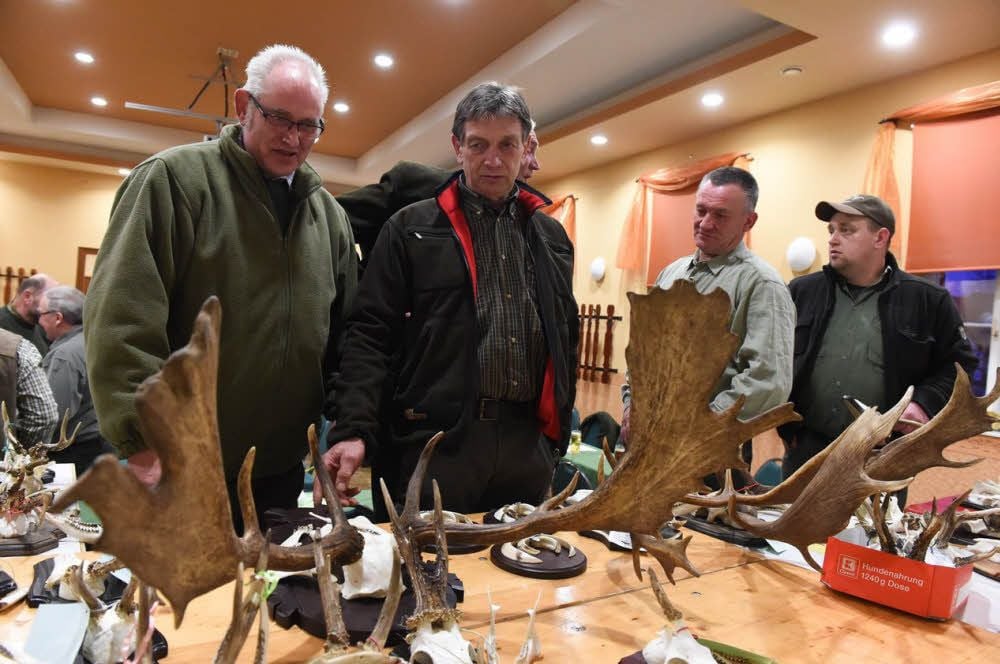 Trophäenschau der Jägerschaft Burgenlandkreis in Prießnitz, auch ein Damhirsch gehört dazu.