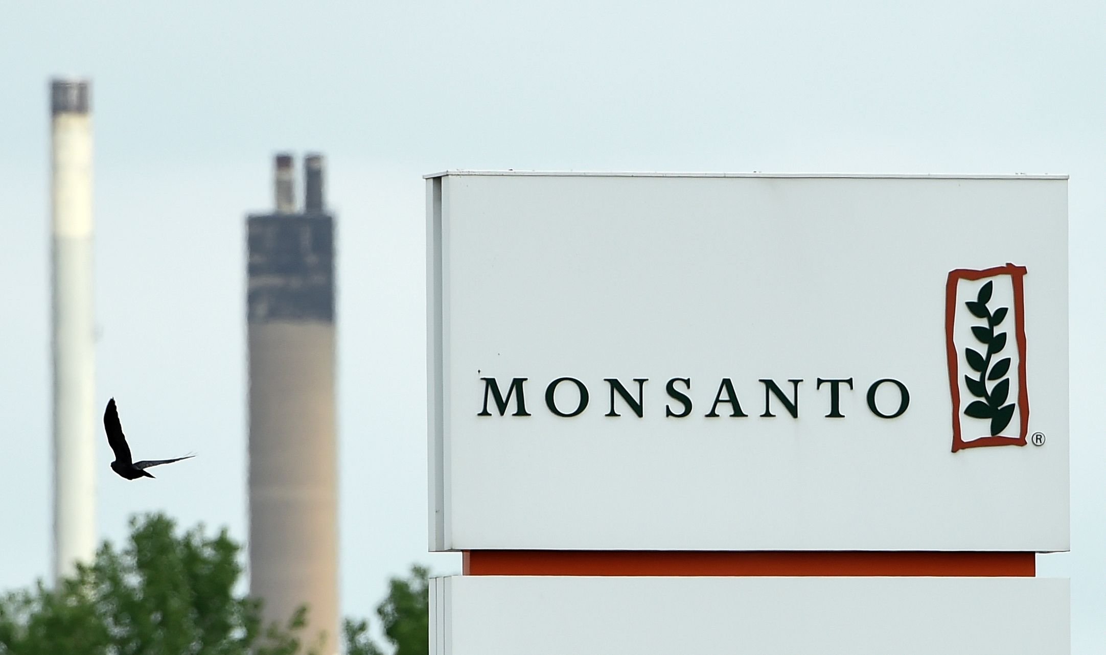 Monsanto hat angeblich das Bayer-Angebot ausgeschlagen.