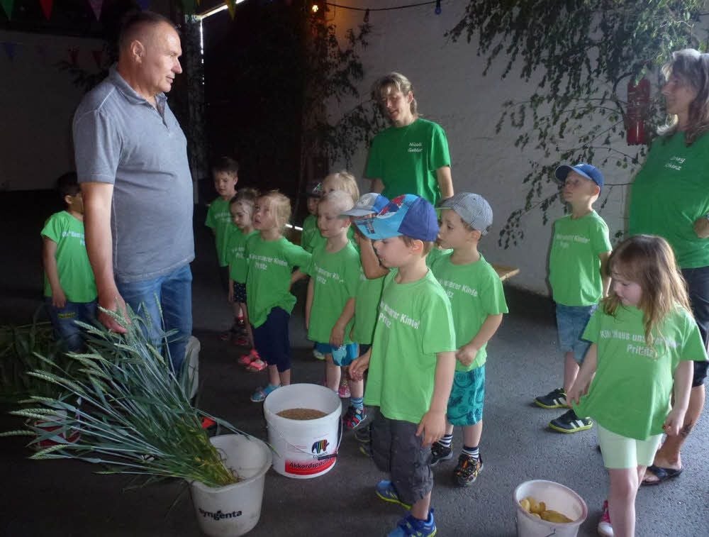 Kurt Enke stellt den Knirpsen aus dem Haus unserer Kinder Prittitz Weizen vor und erklärt ihnen, dass Getreide der Rohstoff für das Brot ist.