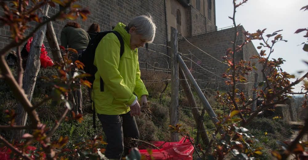 Katharina Sehmsdorf schnitt die Weinstockreste klein.