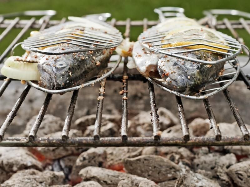 Wer Fisch grillen will, nimmt am besten einen mit einer eher fester Konsistenz - Forellen, Sardinen, Lachs, Rotbarsch und Makrelen kommen da infrage. Foto: Monique Wüstenhagen
