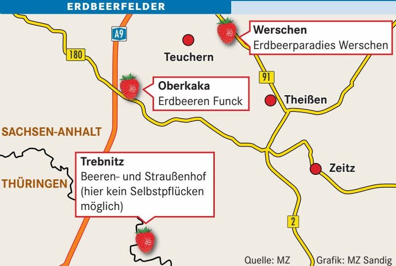 Erdbeerfelder