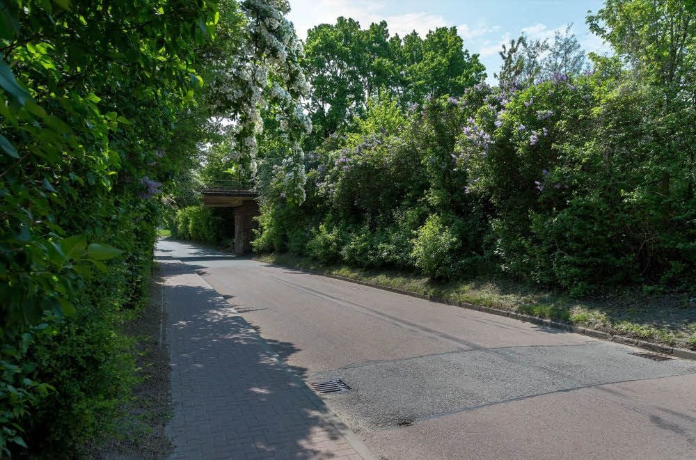 Die Geiseltalstraße in Braunsbedra soll als künftige Hafenzufahrt auf acht Meter Breite mit einem begrünten Mittelstreifen ausgebaut werden.