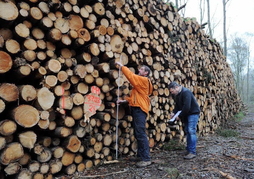 Wolfgang Günther (r.) und Paul Schuchart von der Firma Hartwig beim Messen.
