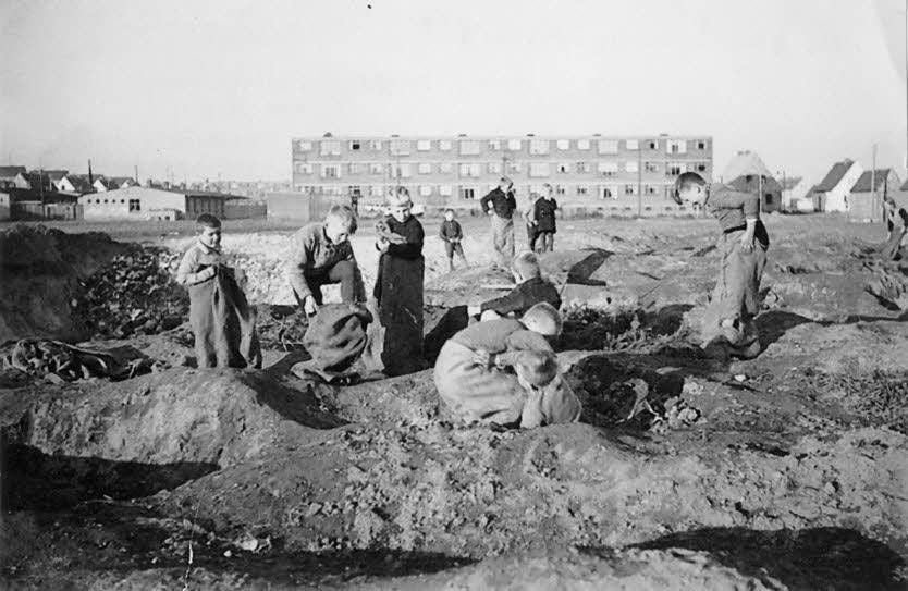 Spielende Kinder in einer Kiesgrube vor den Dessauer Laubenganghäusern im Jahr 1937.