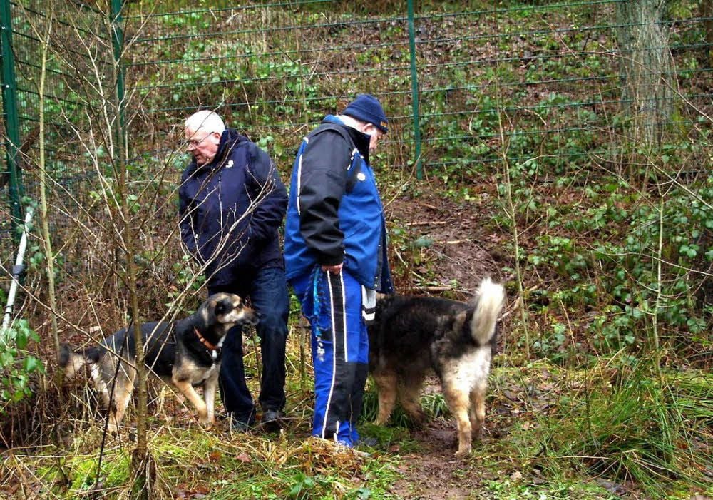 Gerd Heyden (rechts) ist mit Bruno und Moritz und oft mit Josef Aretz vom Tierschutz Aachen, der ihm gute Tipps gibt, unterwegs.