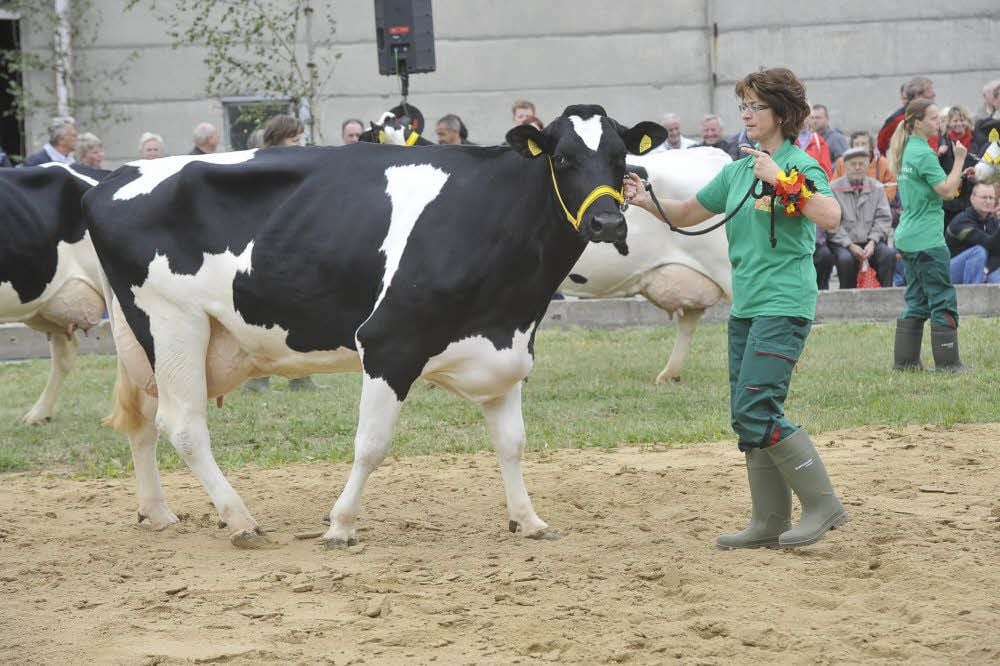 Rund um Köthen gibt es mehrere Betriebe, die in großem Stil Milch produzieren. Die Quellendorfer Landwirte - hier mit einer Tierschau beim Hoffest im Jahr 2014 - gehören mit dazu.