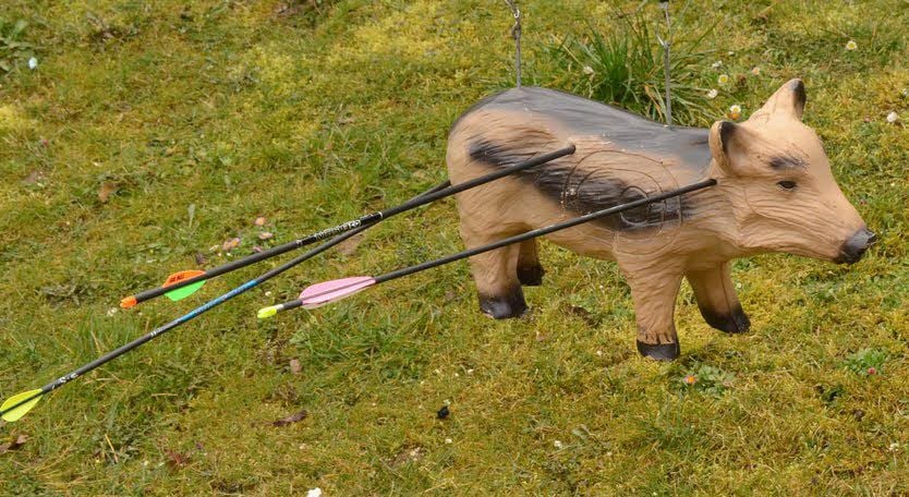 Drei Pfeile stecken in dem aus Kunststoff nachgebildeten Schwein. Doch genau ins Ziel hat keiner den Weg von ihnen gefunden.