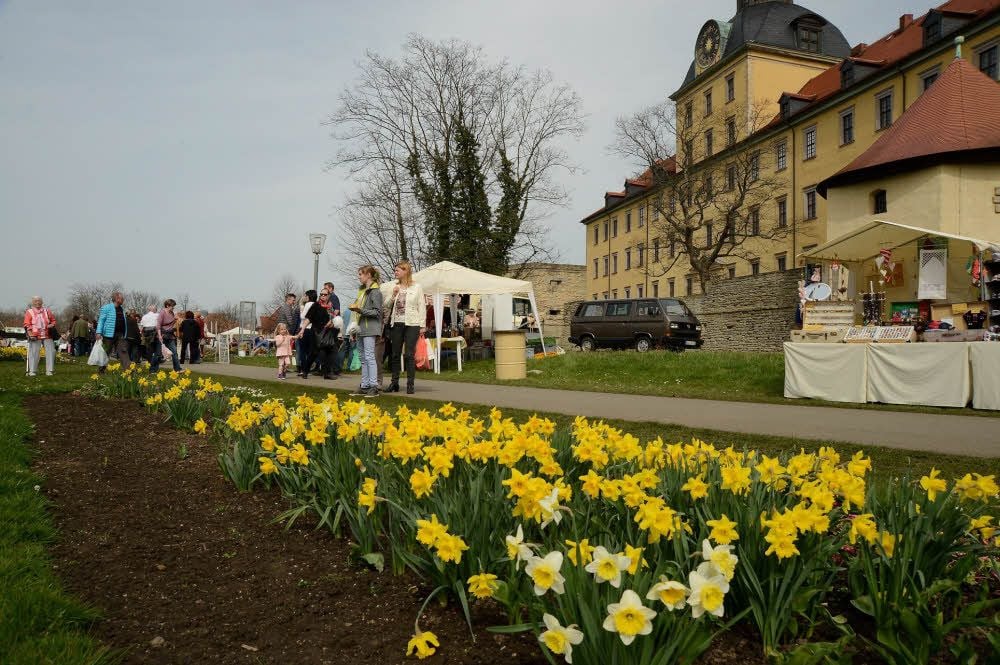 Das weiträumige Parkareal an der Moritzburg eignet sich für Veranstaltungen und Märkte.